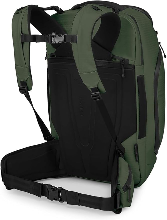 Osprey Archeon 40L Travel Pack, Scenic Valley