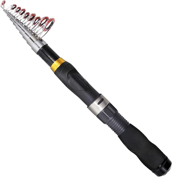 Collapsible Fishing Rod and Reel Combo, BalanZze Telescopic Fishing Rod with Spinning Reel, Portable Collapsible Fishing Pole Kit for Saltwater and Freshwater