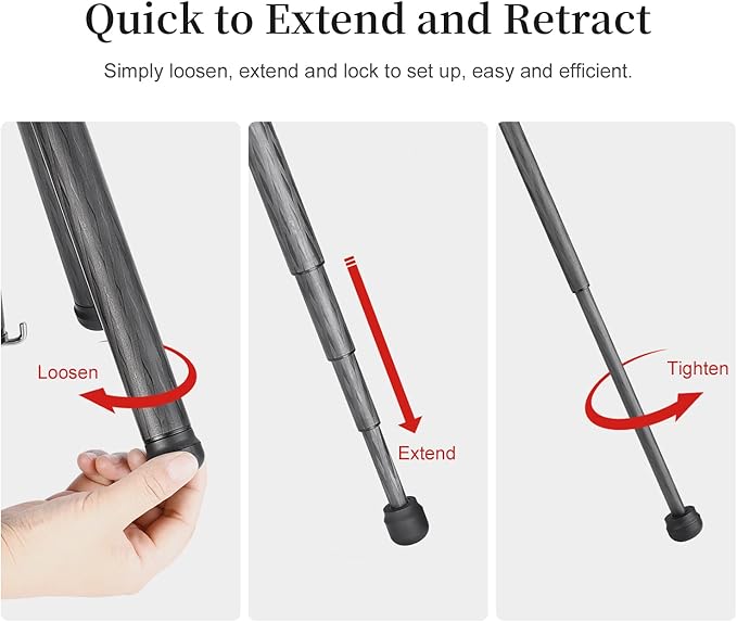 TT2340CE 4-Sections Carbon Fiber Travel Tripod for Ipad, Phone, DSLR Camera, Ideal for vlog Photography, Compact Travel Tripod Lightweight, Small and Short, with 25mm Ball Head