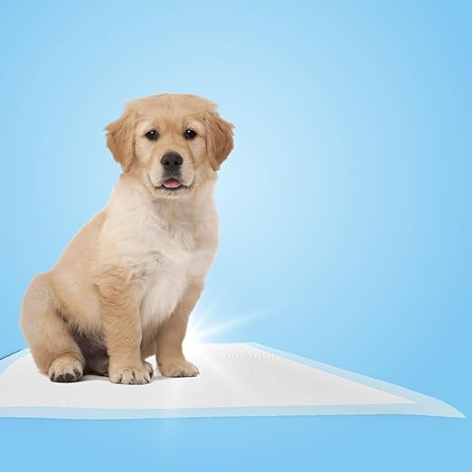 Chucks Pads Disposable [50-Pack] Underpads 17"x 24" - Pee Pads for Dog, Puppy - Diaper Changing Table Pad for Baby - Incontinence Bed & Chair Liners for Elderly - Pet Potty Training Pads - Leak Proof