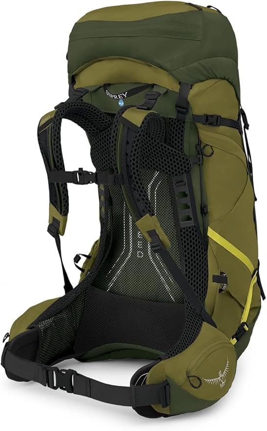 Osprey Atmos AG LT 50L Men's Backpacking Backpack, Scenic Valley/Green Peppercorn, S/M