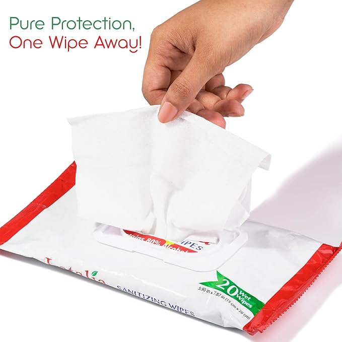 Hand Wipes | 80% Alcohol Hand Sanitizer Wipes for Hands & Face Moisturizing, Gentle, Convenient and Fragrance Free (Pack of 4, 20 Counts)