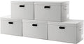 PRANDOM Large Collapsible Storage Containers with Lids [5-Pack] Fabric Foldable Storage Bins Boxes Organizer Baskets Cube with Cover for Home Bedroom Closet Office Beige(17.3x11.8x11.8)