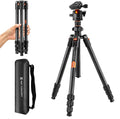 K&F Concept 64" Carbon Fiber Camera Tripod,Lightweight Travel Tripod with 36mm Metal Ball Head Load Capacity 17.6lbs, Quick Release Plate,for DSLR Cameras Indoor Outdoor Use K254C2+BH-36L