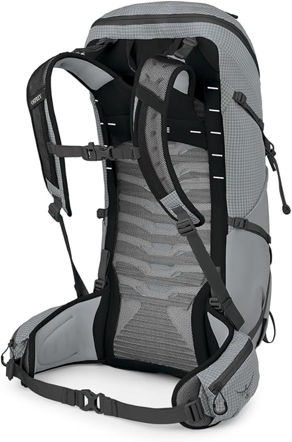 Osprey Talon Pro 30L Men's Hiking Backpack with Hipbelt, Silver Lining