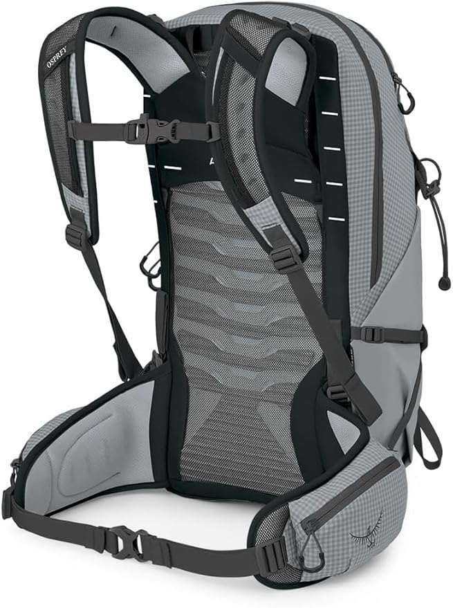 Osprey Talon Pro 20L Men's Hiking Backpack with Hipbelt, Silver Lining
