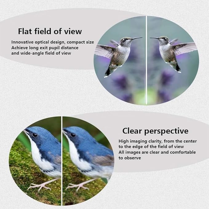 10x42ED Compact Binoculars for Adults – High-Powered BAK4 Prisms, Diamond White Coating, Waterproof & Fogproof, Rubber Armored – Ideal for Bird Watching, Hunting, Travel, Outdoor Sports
