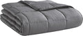 Weighted Blanket (15lbs 60"x80" Queen Size) Cooling Breathable Microfiber Material with Glass Beads Big Heavy Blanket for Adult All-Season Summer Fall Winter Soft Thick Comfort