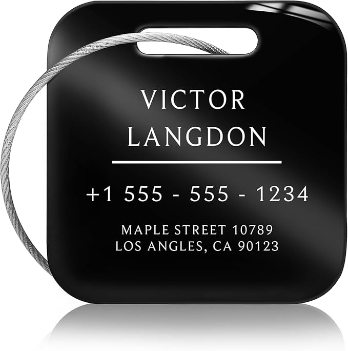 Stainless Luggage Tags for Suitcases: Metal Personalized Luggage Tags and Bags with Customizable Texts (Black)