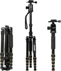 ZoMei Z669 Magnesium Aluminum Alloy Travel Camera Tripod with Ball Head for Canon,Sony,DSLR