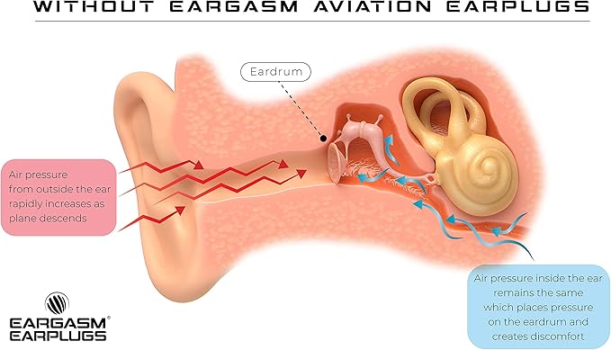 Eargasm Aviation Earplugs - Airplane Ear-Plugs for Ear Air Pressure Relief on Flights for Adults - High Altitude Air Travel Essential Earplugs for Men & Women for a Comfortable Trip