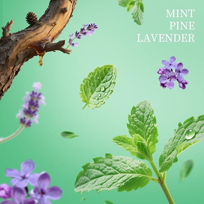 Power Mist Hand Sanitizer Spray, Scented Hydrating Hand Sanitizers Travel Size Refillable, Pocket Portable 3-Pack (Mint Reverie, Silver Cedar, Citrus mist at dawn) 0.93Fl Oz Each