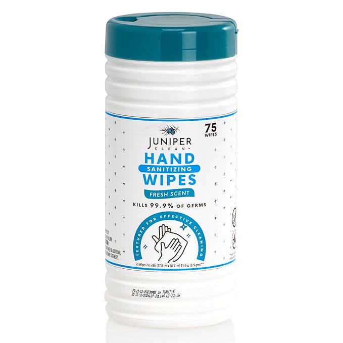 6 Pack Canister Hand Sanitizing Wipes, Alcohol Free 450 Count Canister Disposable Hand Sanitizer Wipes, Fresh Scent, Lint Free & Durable