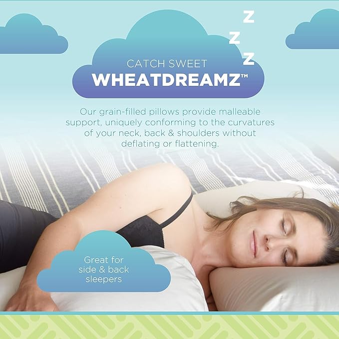 Bean Products Travel Bed Pillow for Sleeping – Organic Millet Fill with Organic Cotton Fabric, Soft Toddler Head Pillow – Eco-Friendly, Breathable, and Durable Sleep Aid, Made in The USA, 13" x 18"