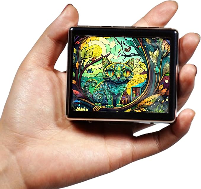 Silver Vintage Pill Box 7 Day Metal Pill Box with Mirror and 8 Compartments Cute Travel Pill Organizer for Purse (Stained Glass Cat)