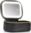 Small Makeup Bag Travel Train Case with Mirror and Light Mini Travel Make up for Women Train Case Cosmetic Organizer 3 Adjustable Brightness Toiletry Bag Portable Artist Storage