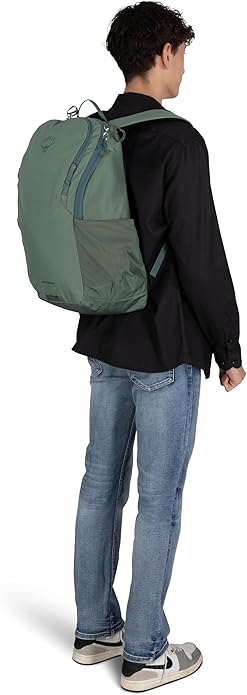 Osprey Astronova Campus Laptop Backpack