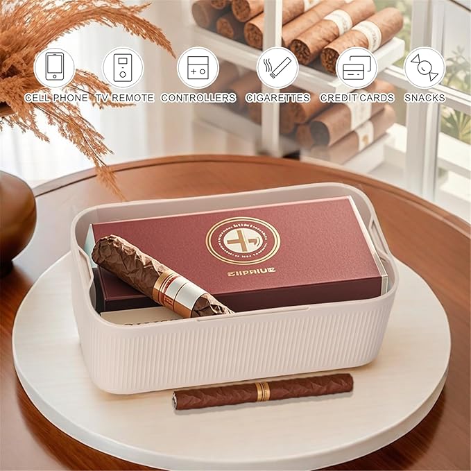 SANIDIKA Lockable Storage Box, Locking Medicine Box, Cell Phone Locked Jail, Food Medical Lockbox, Containers Bin for Personal Refrigerator Home Office Organization Travel Gift,9.25 x 5 x 3.6 (Cream)