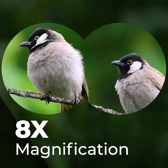 Wingspan Optics FieldView 8X32 Compact Binoculars for Bird Watching. Lightweight and Compact for Hours of Bright, Clear Bird Watching. Also for Outdoor Sports Games and Concerts