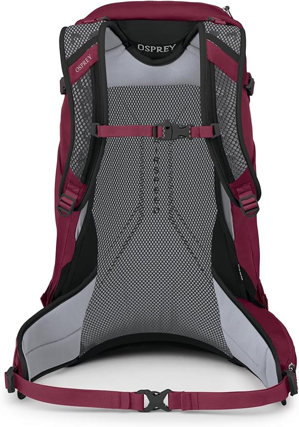 Osprey Hikelite 28L Unisex Hiking Backpack, Chameleon/Black, M/L