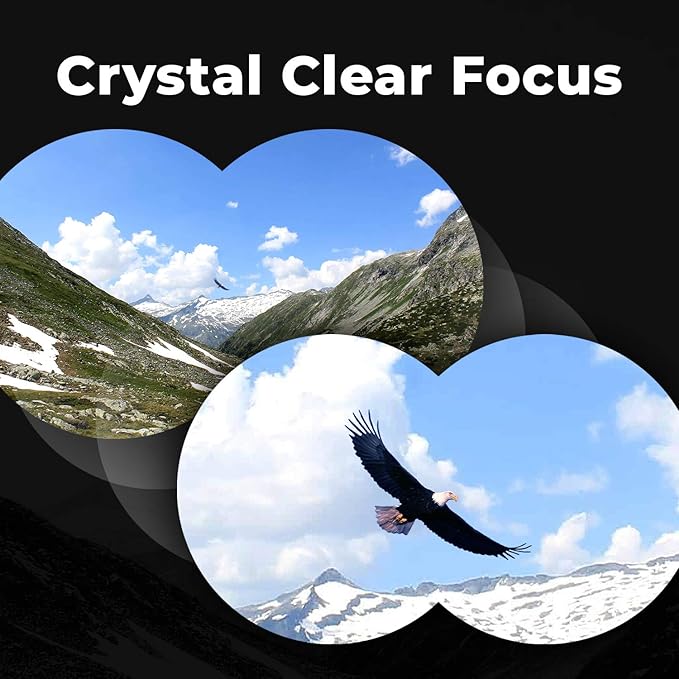 Wingspan Optics FieldView 8X32 Compact Binoculars for Bird Watching. Lightweight and Compact for Hours of Bright, Clear Bird Watching. Also for Outdoor Sports Games and Concerts