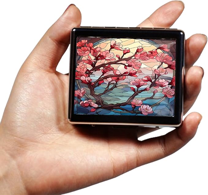 Silver Vintage Pill Box 7 Day Metal Pill Box with Mirror and 8 Compartments Cute Travel Pill Organizer for Purse (Stained Glass Cherry Blossom)