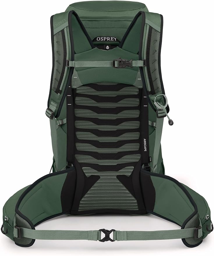 Osprey Talon 33L Men's Lightweight Hiking Backpack with Hipbelt, Green Canopy/Pine Leaf, Extended Fit