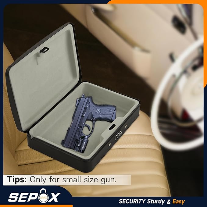 SEPOX 10Pcs Portable Security Case Lock Box Steel, Personal Travel Safe Storage Cabinet for Small Item, with 3 Ft Security Cable& Ressetable Combination Lock for Office, Car, Sports, Water Resistant