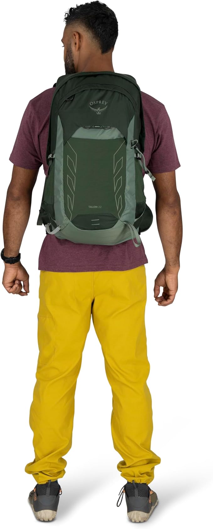Osprey Talon 22L Men's Lightweight Hiking Backpack with Hipbelt, Green Canopy/Pine Leaf