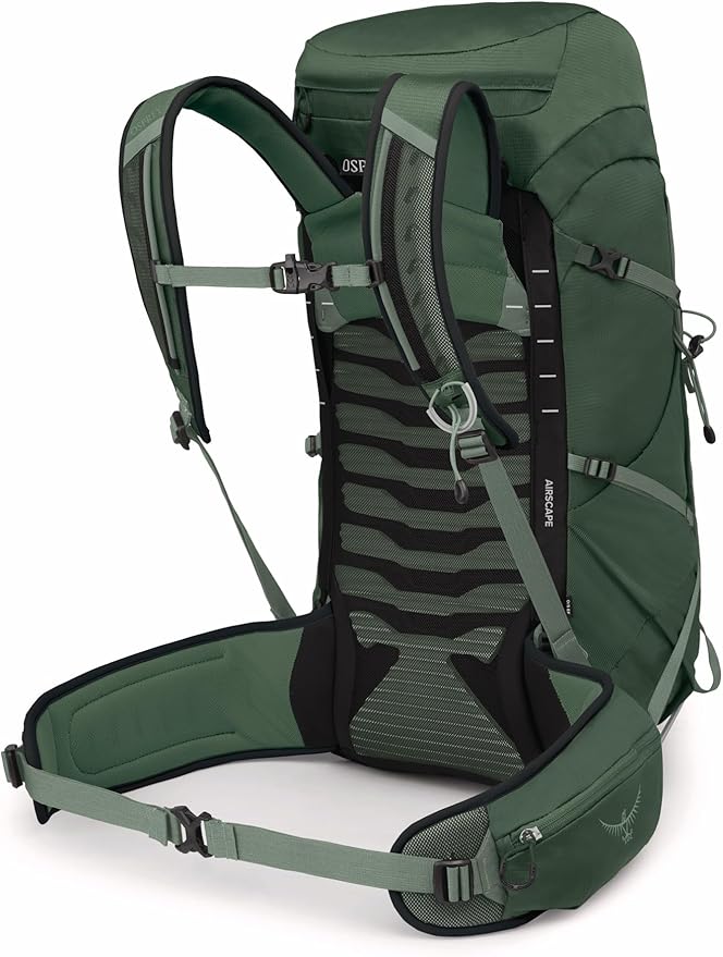 Osprey Talon 33L Men's Lightweight Hiking Backpack with Hipbelt, Green Canopy/Pine Leaf, Extended Fit