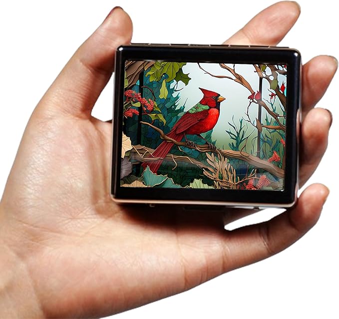 Silver Vintage Pill Box 7 Day Metal Pill Box with Mirror and 8 Compartments Cute Travel Pill Organizer for Purse (Cardinal Stained Glass)
