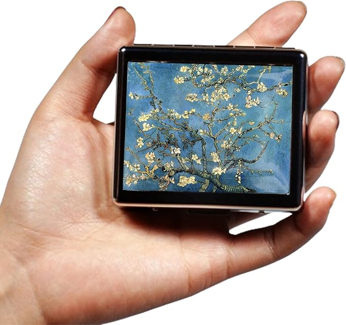 Silver Vintage Pill Box 7 Day Metal Pill Box with Mirror and 8 Compartments Cute Travel Pill Organizer for Purse (Art Almond Blossoms)
