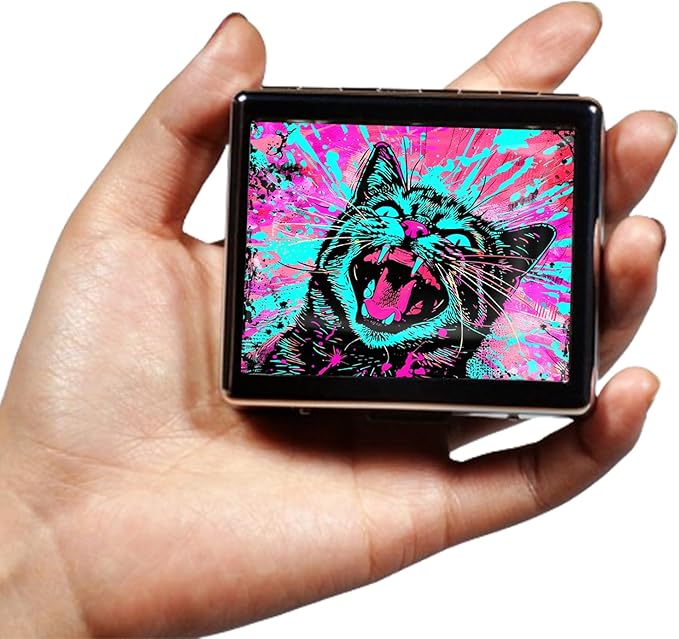 Cute and Portable Metal Pill Organizer – 8 Compartments, Elegant Chrome Finish, Ideal for Travel and Daily Use (Splash Cat)