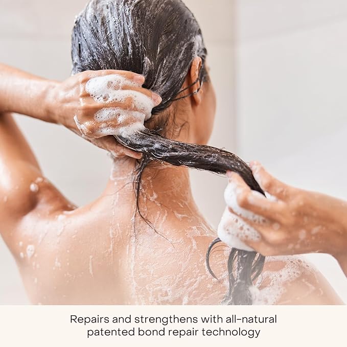 Everist The Haircare Travel Duo, The Shampoo Concentrate & The Deep Conditioning Concentrate, Deep Hydration and Smoothing, Aloe Vera, Paraben & Sulfate Free, Color-Safe, 2 x 0.7 fl oz Set