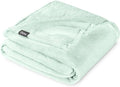 Bare Home Fleece Blanket - Full/Queen - Ultra-Soft Lightweight for Bed, Sofa, and Couch - Luxury Microplush - Cozy Warm Blanket (Full/Queen, Spring Mint)