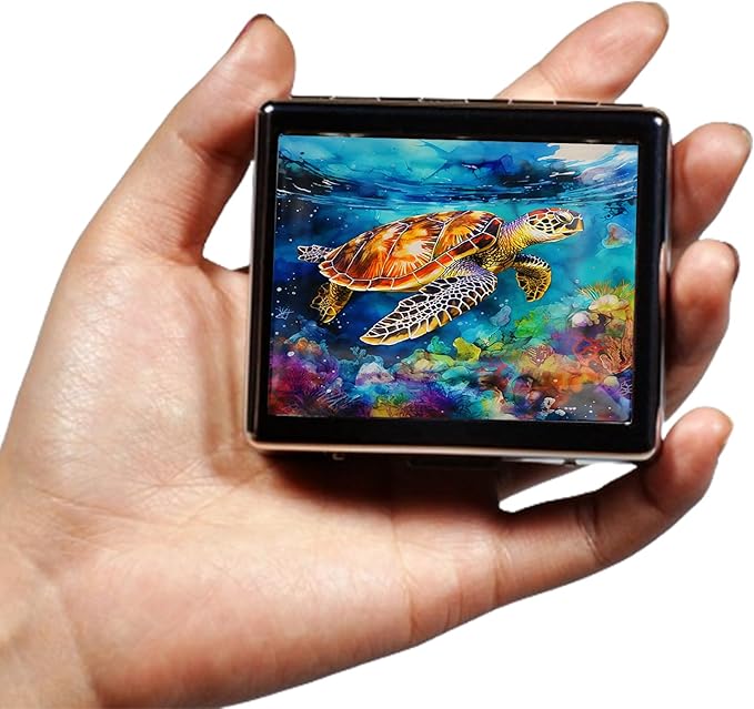 Silver Vintage Pill Box 7 Day Metal Pill Box with Mirror and 8 Compartments Cute Travel Pill Organizer for Purse (Sea Turtle)