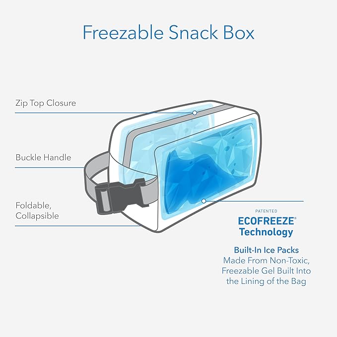 PackIt Freezable Snack Box, Sweet Strawberry, Built with ECOFREEZE Technology, Collapsible, Zip Closure with Buckle Handle, Designed For Work Snacks, Fresh Snacks On the Go, Adults, and All Ages