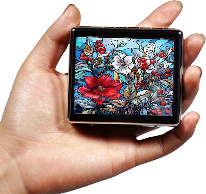Silver Vintage Pill Box 7 Day Metal Pill Box with Mirror and 8 Compartments Cute Travel Pill Organizer for Purse (Stained Glass Flowers)