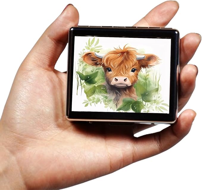 Silver Vintage Pill Box 7 Day Metal Pill Box with Mirror and 8 Compartments Cute Travel Pill Organizer for Purse (Watercolor Highland Cow)