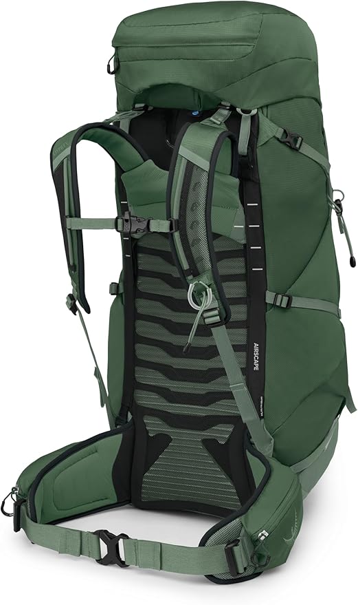 Osprey Talon 44L Men's Lightweight Hiking Backpack with Hipbelt, Green Canopy/Pine Leaf, L/XL