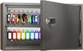 WeHere Key Lock Box for 60 Keys, Wall Mount Key Cabinet with Color Key Tags, Steel Key Storage Box with Lock, Key Holder Organizer for Home, Office, Apartment, Property Management