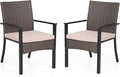 PHI VILLA Outdoor Wicker Chairs Set of 2, Rattan Covered Metal Armchairs with Removable Cushion, Heavy Duty Furniture Set for Patio, Deck, Porch, Yard