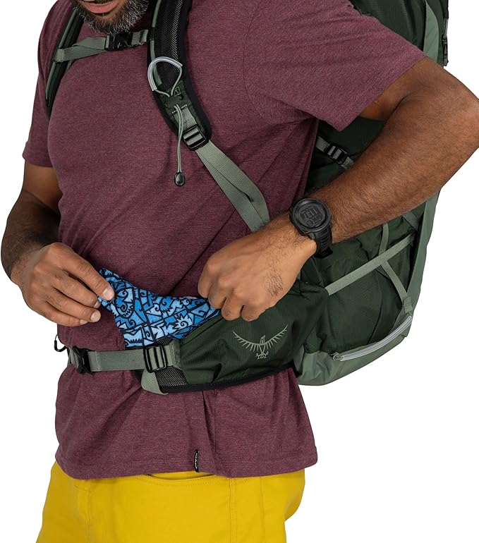 Osprey Talon 33L Men's Lightweight Hiking Backpack with Hipbelt, Green Canopy/Pine Leaf