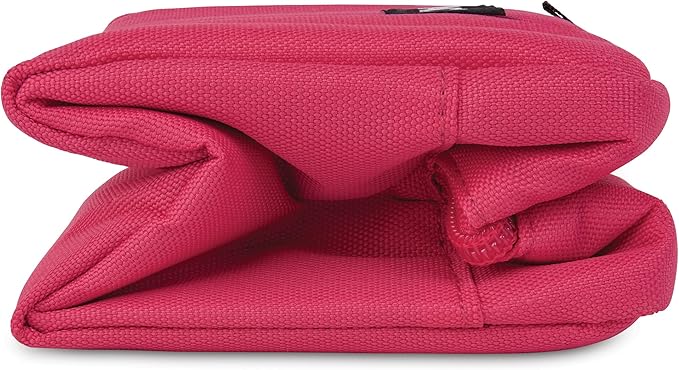 PackIt Freezable Snack Box, Magenta, Built with ECOFREEZE Technology, Collapsible, Reusable, Zip Closure with Buckle Handle, Designed For Work Snacks, Fresh Snacks On the Go, Adults, and All Ages