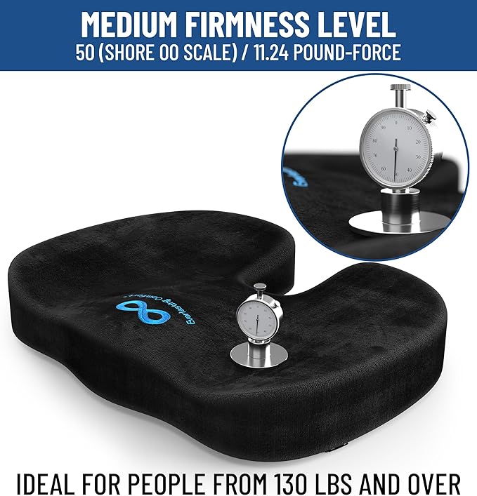 Everlasting Comfort Doctor Recommended Memory Foam Seat Cushion for Office Chairs & Car Seat - Ergonomic Office Desk Accessories for Tailbone Pain Relief, Sciatica & Back Support