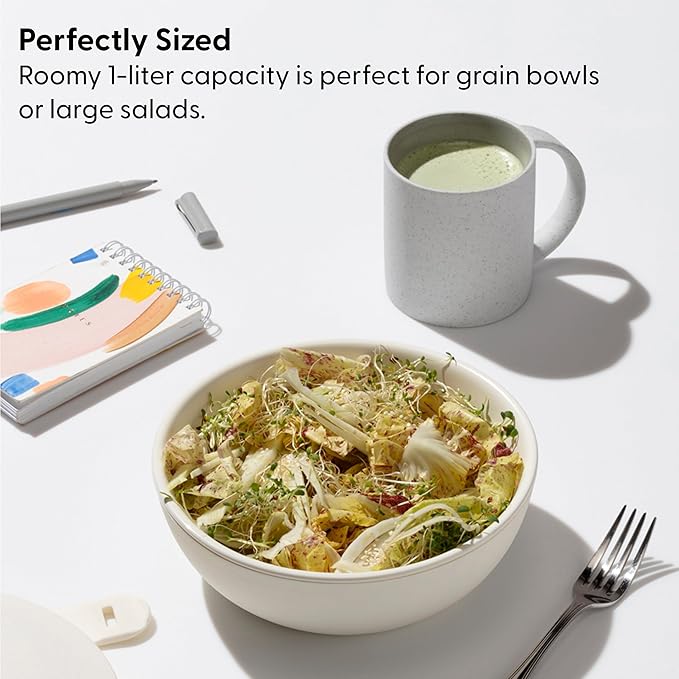 W&P Porter Ceramic Bowl Lunch Container w/ Protective Non-slip Exterior, Mint 1 Liter | Lid & Snap-tight Silicone Strap | Food Storage, Bento Box, Meal Prep | BPA-Free Ceramic