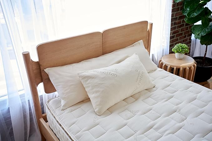 Naturepedic Organic Latex Pillow - Queen Bed Pillow with Medium Comfort - Luxury Pillow with Adjustable Fill for Comfortable Sleeping, Back Support and Neck Pain Relief