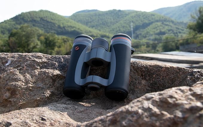 12x32 Compact Binoculars for Adults High Powered, FMC, Bak-4 Prism, Easy Focuse, Low Light Vision, Waterproof, Shockproof, Fogproof, for Sports, Bird Watching, Concerts, Travel, Cruise