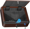 BILLCONCH Gun Safe for Handgun - Biometric Pistol Safe 4 Ways Quick Access with Fingerprint/Full-digital Keypad/Key/APP Lock and Security Cable for Nightstand Bedside Home - Antique Bronze