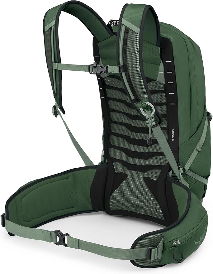 Osprey Talon 22L Men's Lightweight Hiking Backpack with Hipbelt, Green Canopy/Pine Leaf, Extended Fit